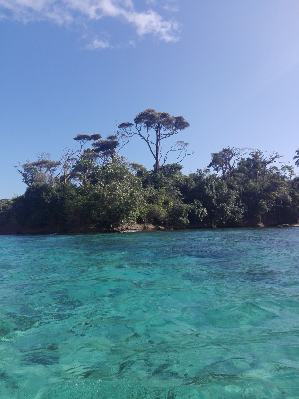 ¿Por qué se llama Escudo de&nbsp;Veraguas?