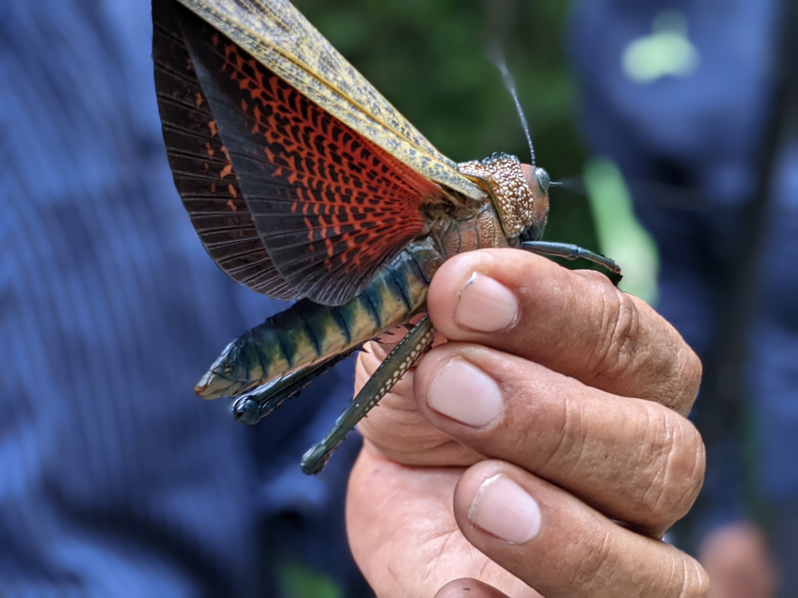 Costa Rica, referente del turismo sostenible y ecológico